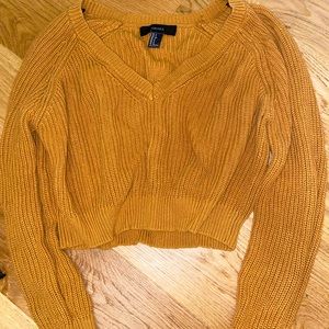 Cropped vneck sweater